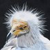 just sick of it (@ravin187) Twitter profile photo just sick of it (@ravin187) Twitter profile photo