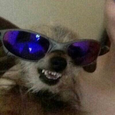 supersallyjin's profile picture. ceo da empresa sally | em busca do meu milka de morango