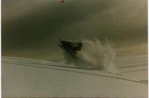 penguin5163's profile picture. Reallity is an illiusion created by a lack of fun