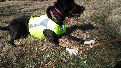 jine_mar's profile picture. https://t.co/Rd0sWezmrr