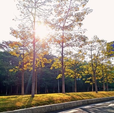 Jeffy_Qiu's profile picture. Try to do best things