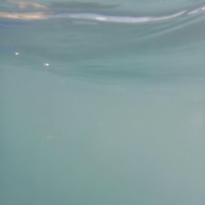 kingwei1's profile picture. 性別男，愛好女。