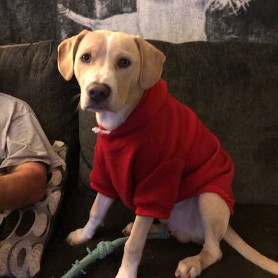 scotty64897093's profile picture. 