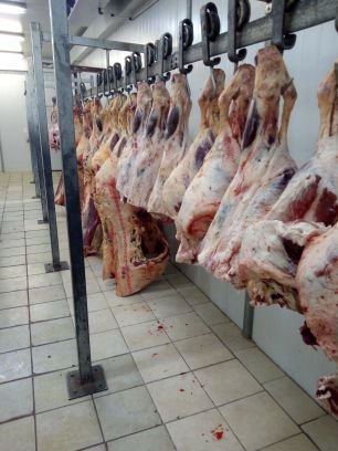Wholesale Beef Sales *Agri Innovator Liaisons Man* Beef cattle Trader