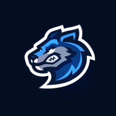 Team Elevate, Anew gaming clan starting fresh looking to grow bigger we are a Comp/Pub stomp team DM us for info on how to join!