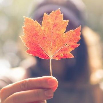 ziweiwu6's profile picture. 