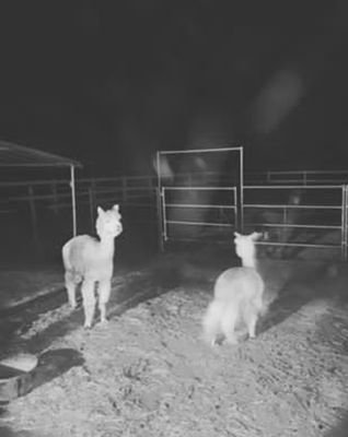 Danny05604717's profile picture. 