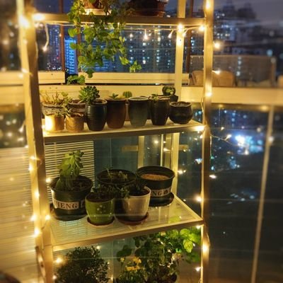 EmmaLin63329698's profile picture. 