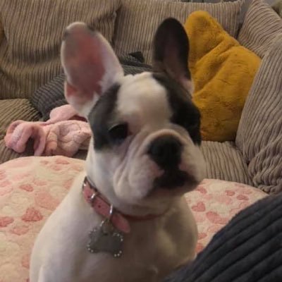 jamesybhoy1982's profile picture. 