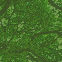 Gender Equality Team (@team_gender) 's Twitter Profile Photo