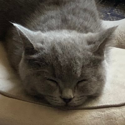 ココ太郎 Storesストアーズのcmの児島さんいい顔してるなぁ ココ太郎 Storesストアーズのcmの児島さんいい顔してるなぁ
