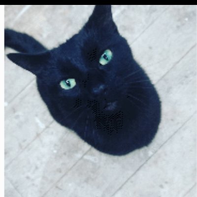 spritejo1's profile picture. it’s better to burn out than fade away. COYS 🐈‍⬛