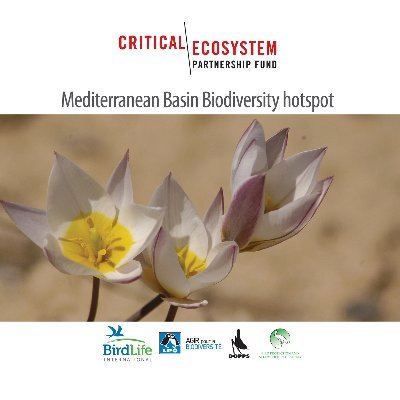 Protecting biodiversity by granting civil society in the Mediterranean Basin | @CommunityCEPF | #CEPFmed Team led by @BirdLife_news | Storymap: https://t.co/KX3lDs09cF