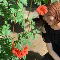 小杉美香 (@mikakosugi) 's Twitter Profile