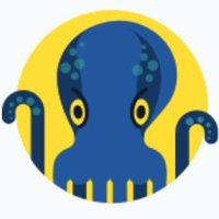 JetOctopus (@jetoctopus) 's Twitter Profile