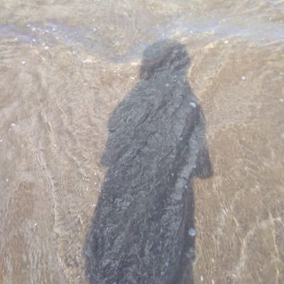 dedehfarida's profile picture. 