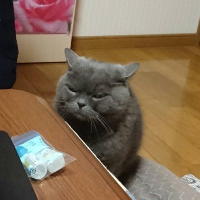 はたあゆさんのプロフィール画像