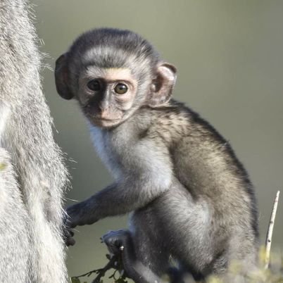 Don189964317's profile picture. singal