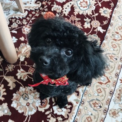 ゆん ほぼゲーム垢 白猫キャラ Mvp人気投票開催中 選んだのは カルマ ジュダ 帝国2 ネモ 茶熊 イケメンで選びました W T Co Brxvjwnyn5 Gamewith 白猫 ゆん ほぼゲーム垢 白猫キャラ Mvp人気投票開催中 選んだのは カルマ ジュダ 帝国2 ネモ 茶熊 イケメンで選びました W T Co Brxvjwnyn5 Gamewith 白猫