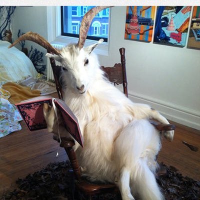 trudat_3012's profile picture. Totally up for free speech. Hope the socialists and neo-communists don’t mind...