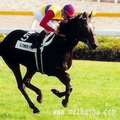 競馬、TMNetwork、NFL、芸人の深夜ラジオが日常生活。