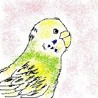『ミラーマン』を冷静に見る(石田信之さん公認)・『キャンディキャンディ』研究白書・2020年2月22日BLACKPINK福岡公演に行きました、赤井五朗ブログの管理人です。