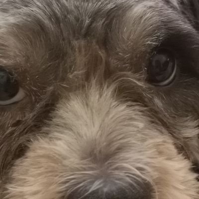 M62627411's profile picture. ...