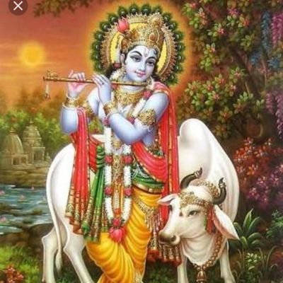 Pmadaan2's profile picture. 