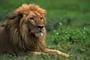 A record label moving forward clear message music. Cryin Lion Records or C.L.R. (Clear) Consciousness, Love & Respect
http://t.co/RNshm8QDaZ