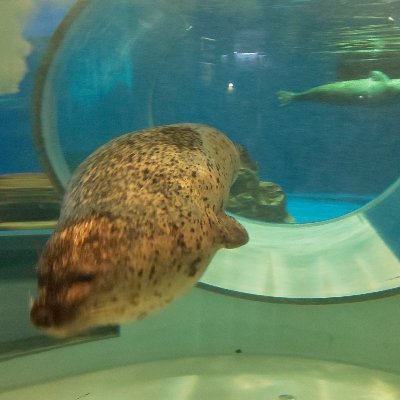 lightsoutda's profile picture. イキる暇あるなら働く しかない、、が、休みが欲しい、、。

その時目に入って良いなと思ったものに深く考えずにいいね！とか付けてます。不快でしたらすいません。削除しますので。