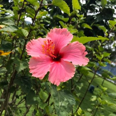 元祖はこじゆうです❤️普通にノンケですが好きになった人が好きです❣️❣️★よろしくお願いします★皆さん フォローありがとうございます★