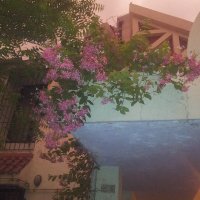 driveAKar (@driveakar) 's Twitter Profile