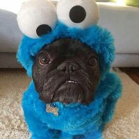Lunar FN (@lunarfn1) 's Twitter Profile