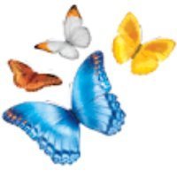 Peds Colorectal, Nationwide Children's Hospital (@nchcolorectal) 's Twitter Profile