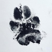 Rescued Eliquid (@rescuedeliquid) 's Twitter Profile