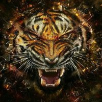 @Armando_Bronca (@general_armando) 's Twitter Profile