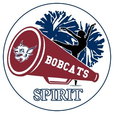 Official Twitter Account for St. Thomas University’s Cheerleading and Dance Team🐯🐾