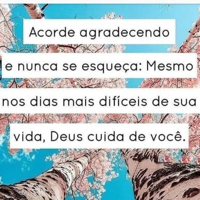 rosangelavezzo1's profile picture. 