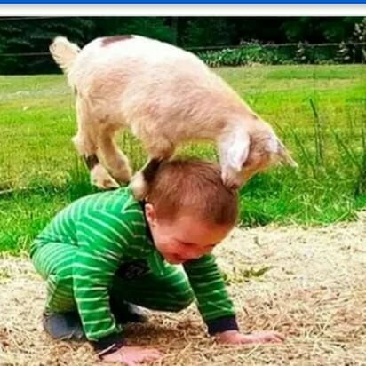 Q4yaFd2hfvbWW04's profile picture. 