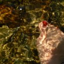 Barbara Sutherland - @BellevueCreek - Twitter