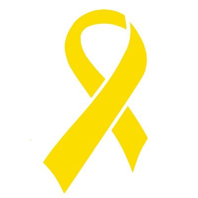 CSSA aims to prevent suicide amongst college and university students by promoting awareness of suicide and providing college communities with resources