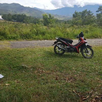 MESEALEROMBO7's profile picture. lis