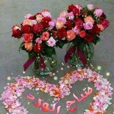 Esaam65014300's profile picture. للقراءة فقط