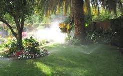 A retiree who loves gardening. Please visit my blog for gardening and landscaping ideas.