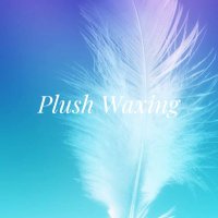 PlushWaxing(@PlushWaxing) 's Twitter Profile Photo