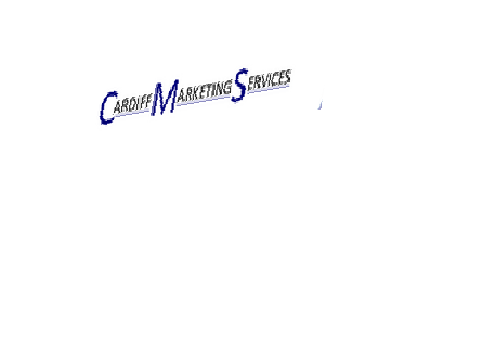 We are a young company, and love to have fun alongside working hard to achieve big goals.