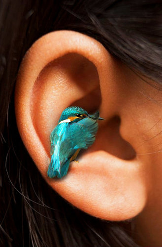 DeeHammam's profile picture. 