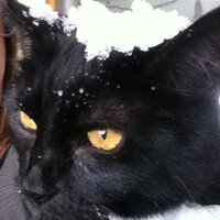 Valerie McDonald (@valstevens) 's Twitter Profile