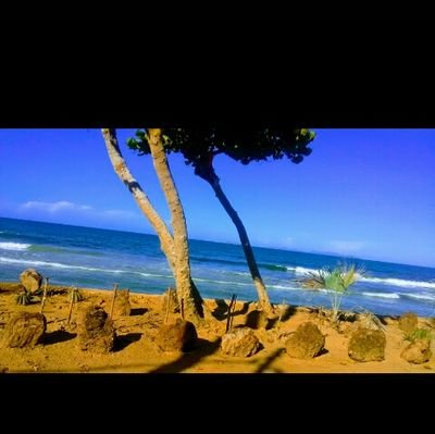 Rodrgue80237060's profile picture. 