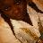 ITS SLOW FOR THIS TWITTA.My Name on twitter is (#PROPERR) My @name gunna keep changen so jus look fah dat